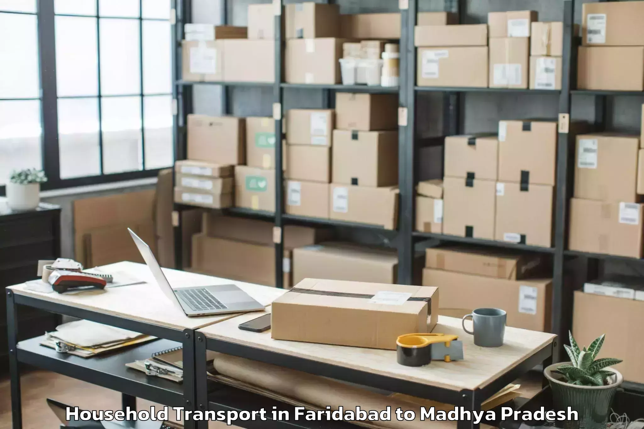 Professional Faridabad to Damoh Household Transport